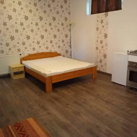 Ti-ni Apartman Lejlighed Csopak